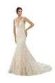 Online Avorio & Champagne Stile sirena Scollatura a V Pizzo Abiti da sposa