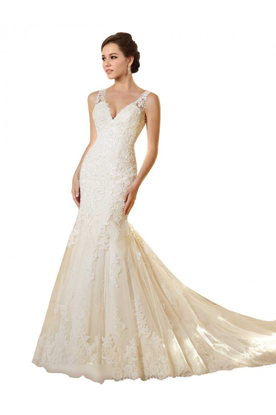 Online Avorio & Champagne Stile sirena Scollatura a V Tulle Pizzo Abiti da sposa