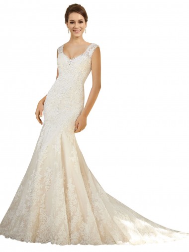 Online Avorio & Champagne Stile sirena Scollatura a V Tulle Pizzo Abiti da sposa