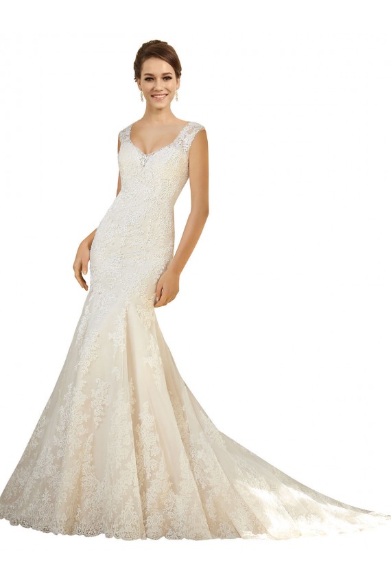 Online Avorio & Champagne Stile sirena Scollatura a V Tulle Pizzo Abiti da sposa
