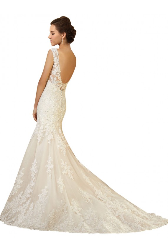 Online Avorio & Champagne Stile sirena Scollatura a V Tulle Pizzo Abiti da sposa